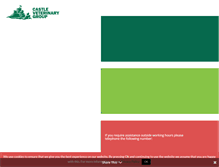 Tablet Screenshot of castleveterinarygroup.co.uk